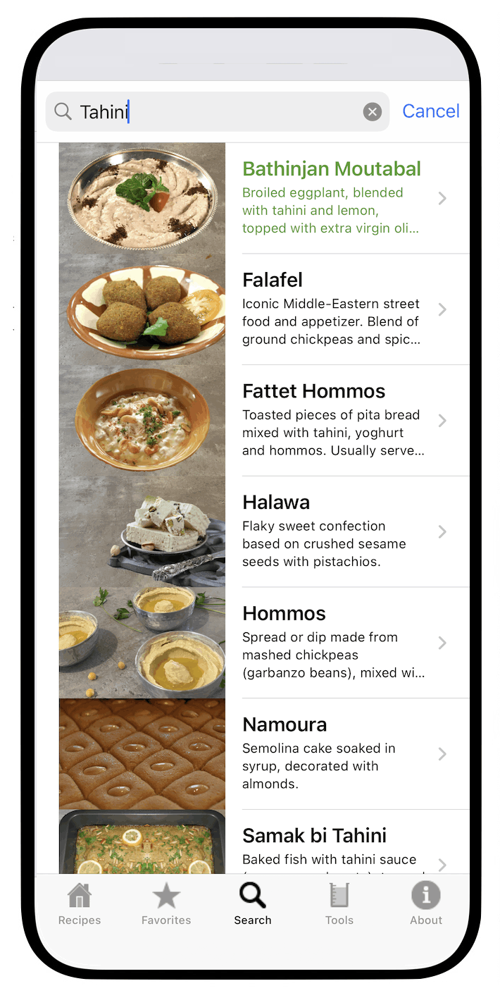 100 Lebanese Recipes iOS App