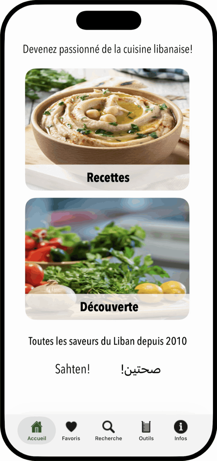 100 Lebanese Recipes iOS App