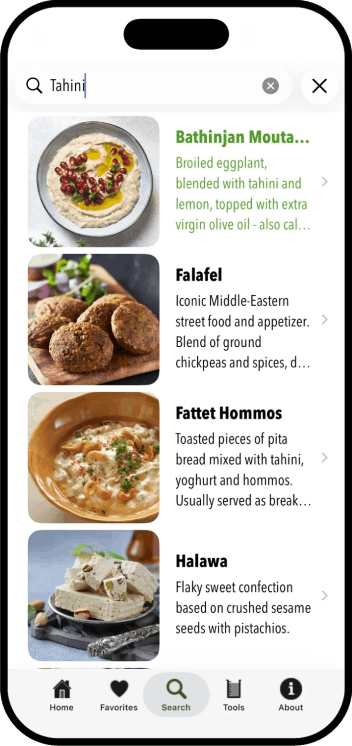 100 Lebanese Recipes iOS App