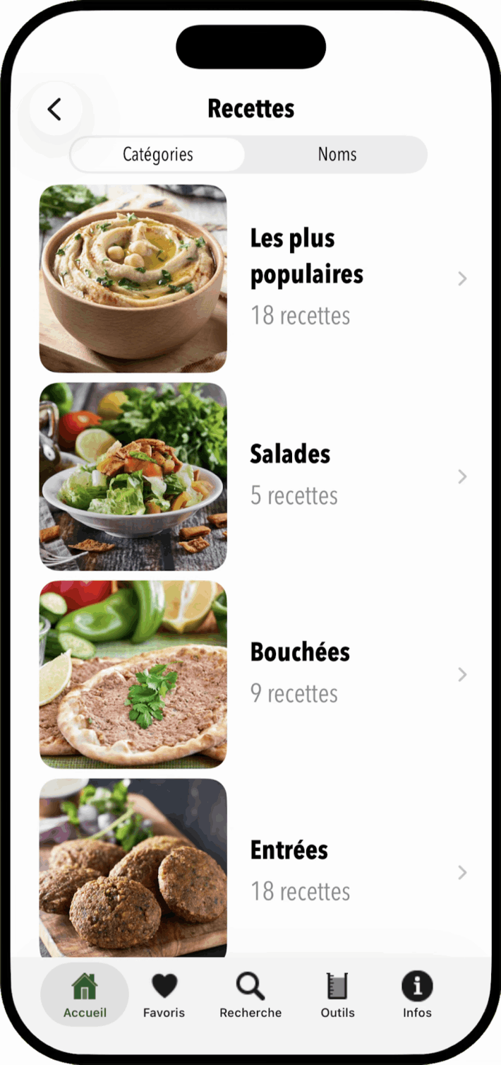 100 Lebanese Recipes iOS App