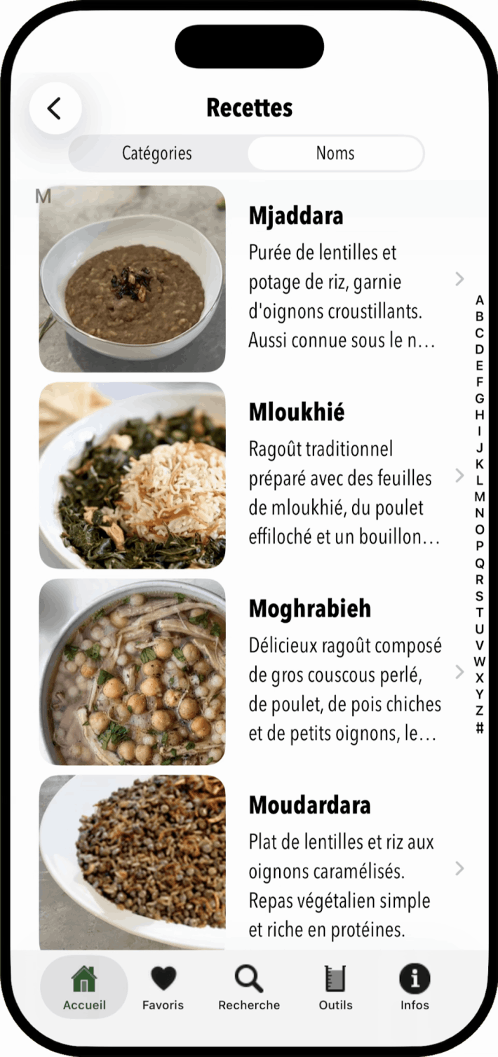 100 Lebanese Recipes iOS App