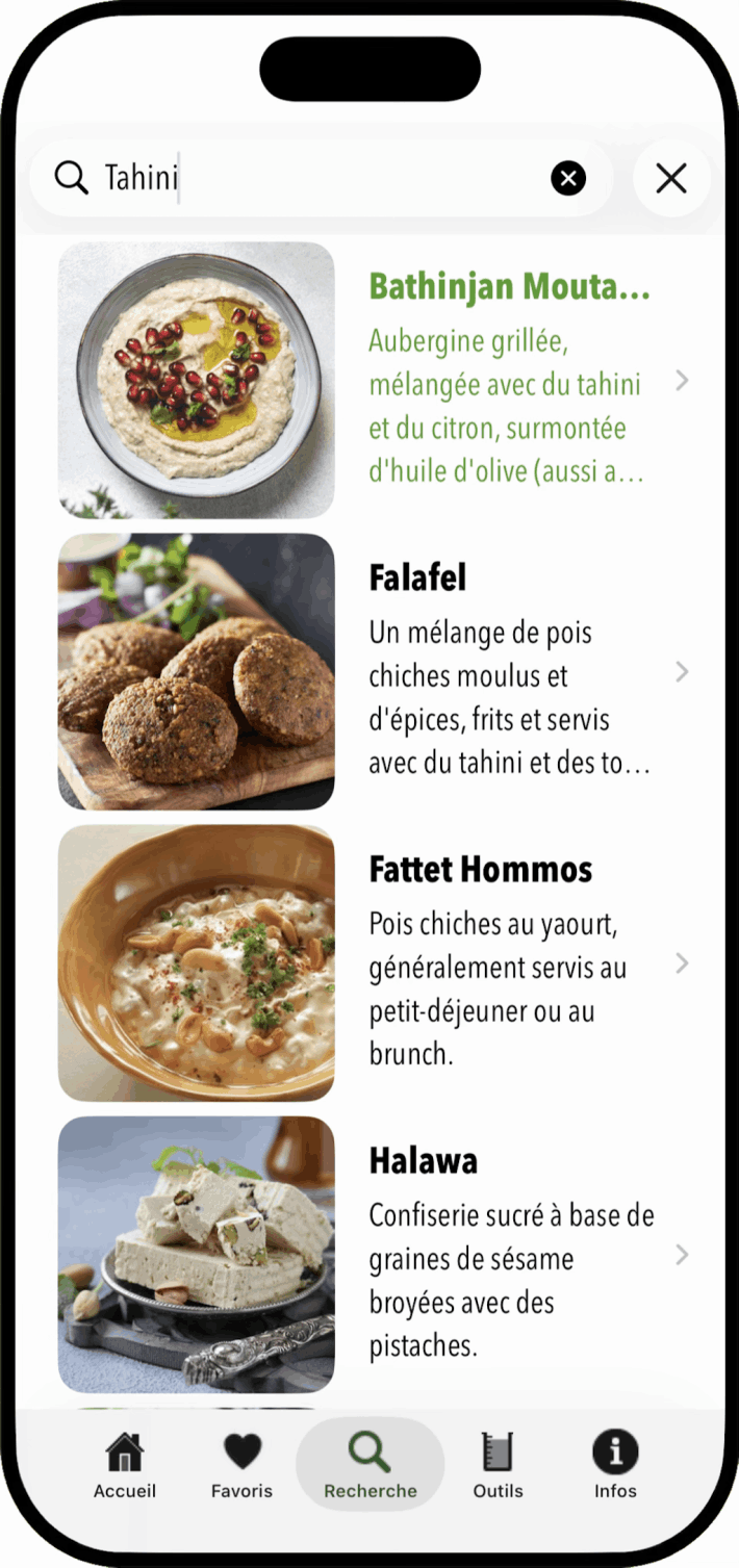 100 Lebanese Recipes iOS App